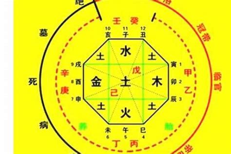 五行喜忌查询|八字喜用神在线查询器,五行喜什么查询免费